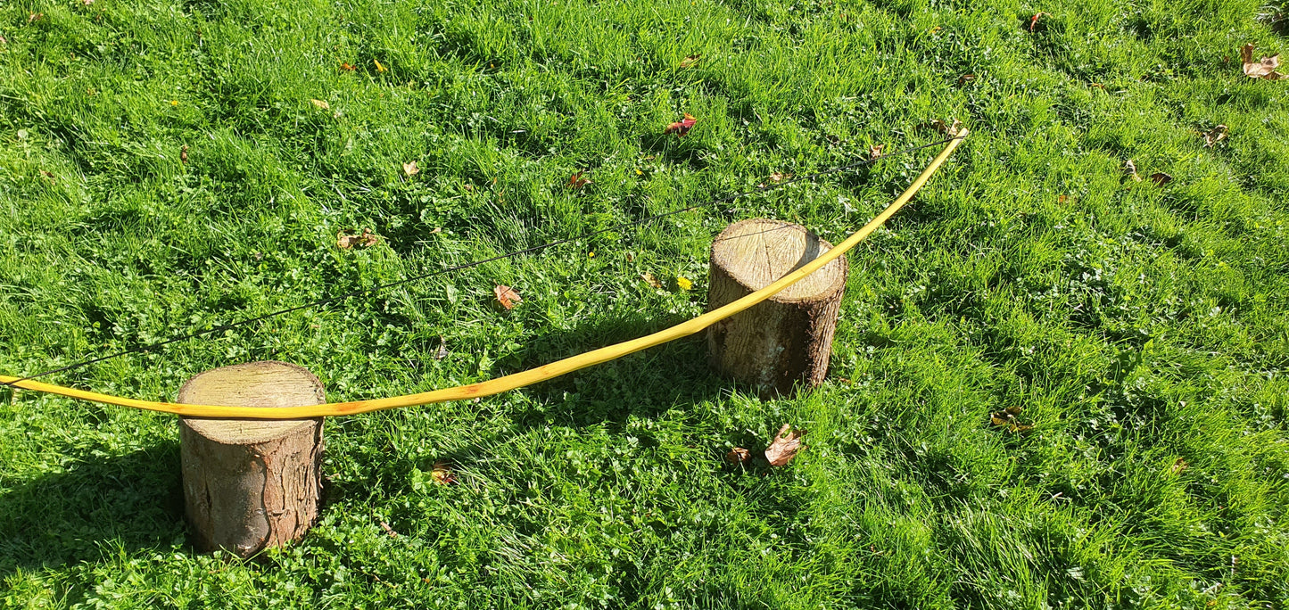 Storm-bringer: Native American (Lakota) bow: 31lb draw weight