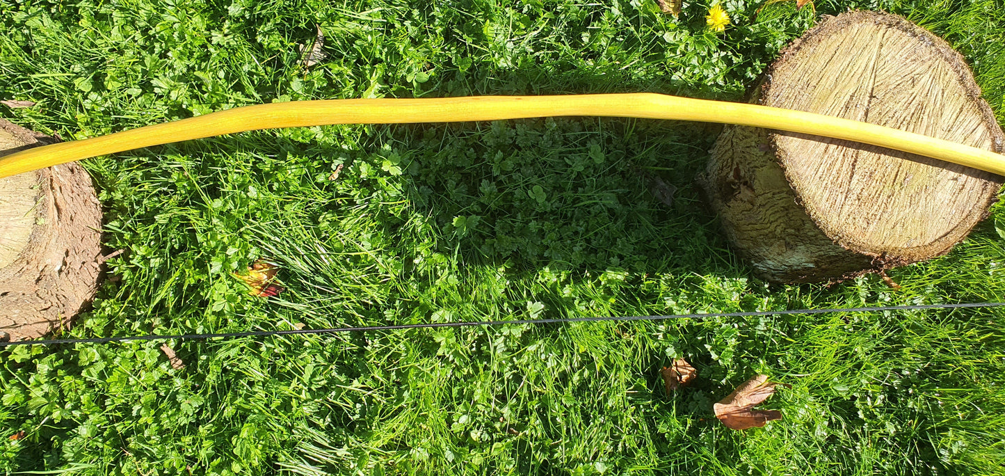 Storm-bringer: Native American (Lakota) bow: 31lb draw weight