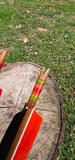 Tonkin Bamboo Arrows w/ colourful strings
