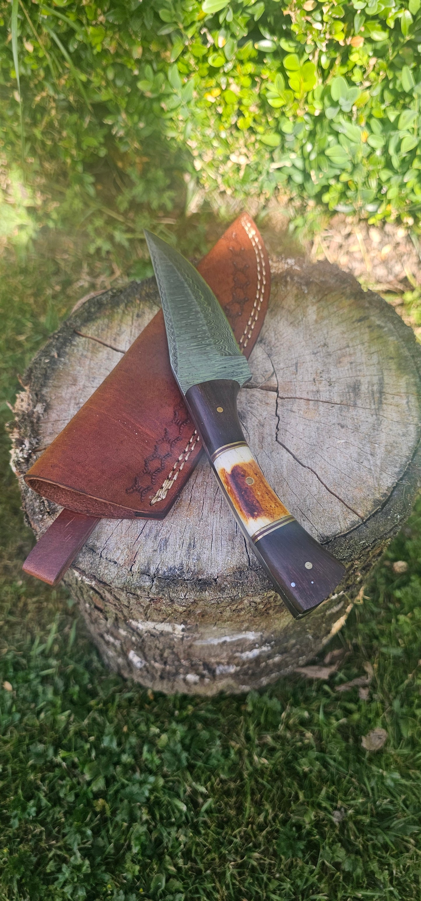 'Anubis' - Skinner Knife