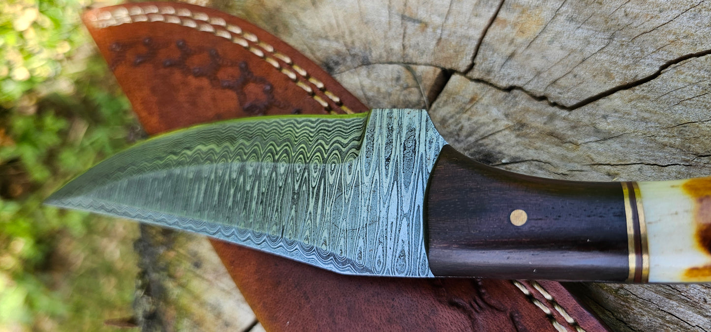 'Anubis' - Skinner Knife