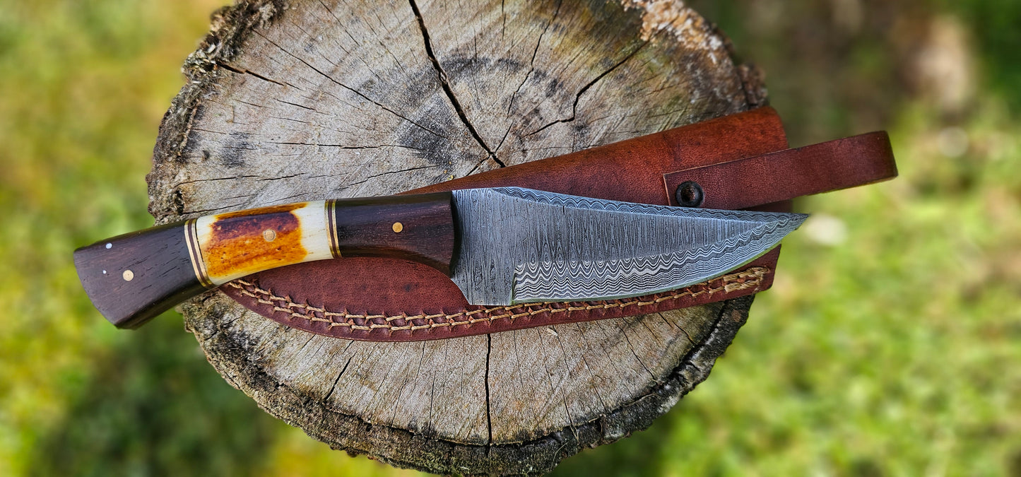 'Anubis' - Skinner Knife