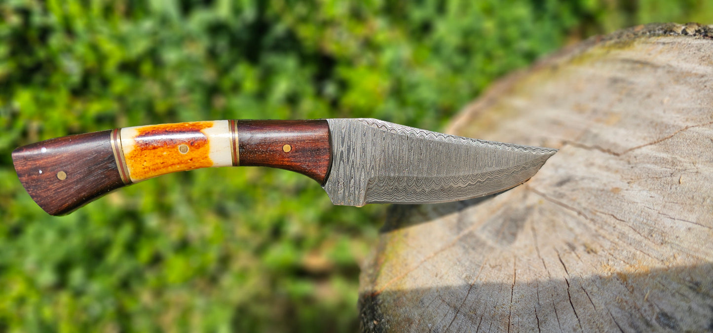 'Anubis' - Skinner Knife