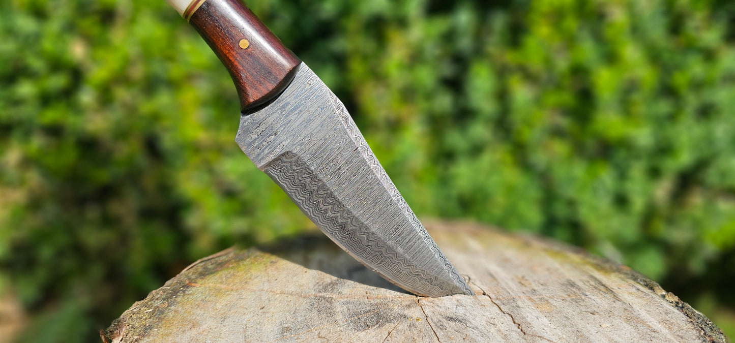 'Anubis' - Skinner Knife