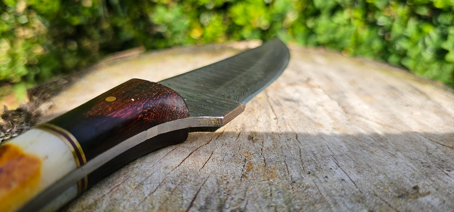 'Anubis' - Skinner Knife