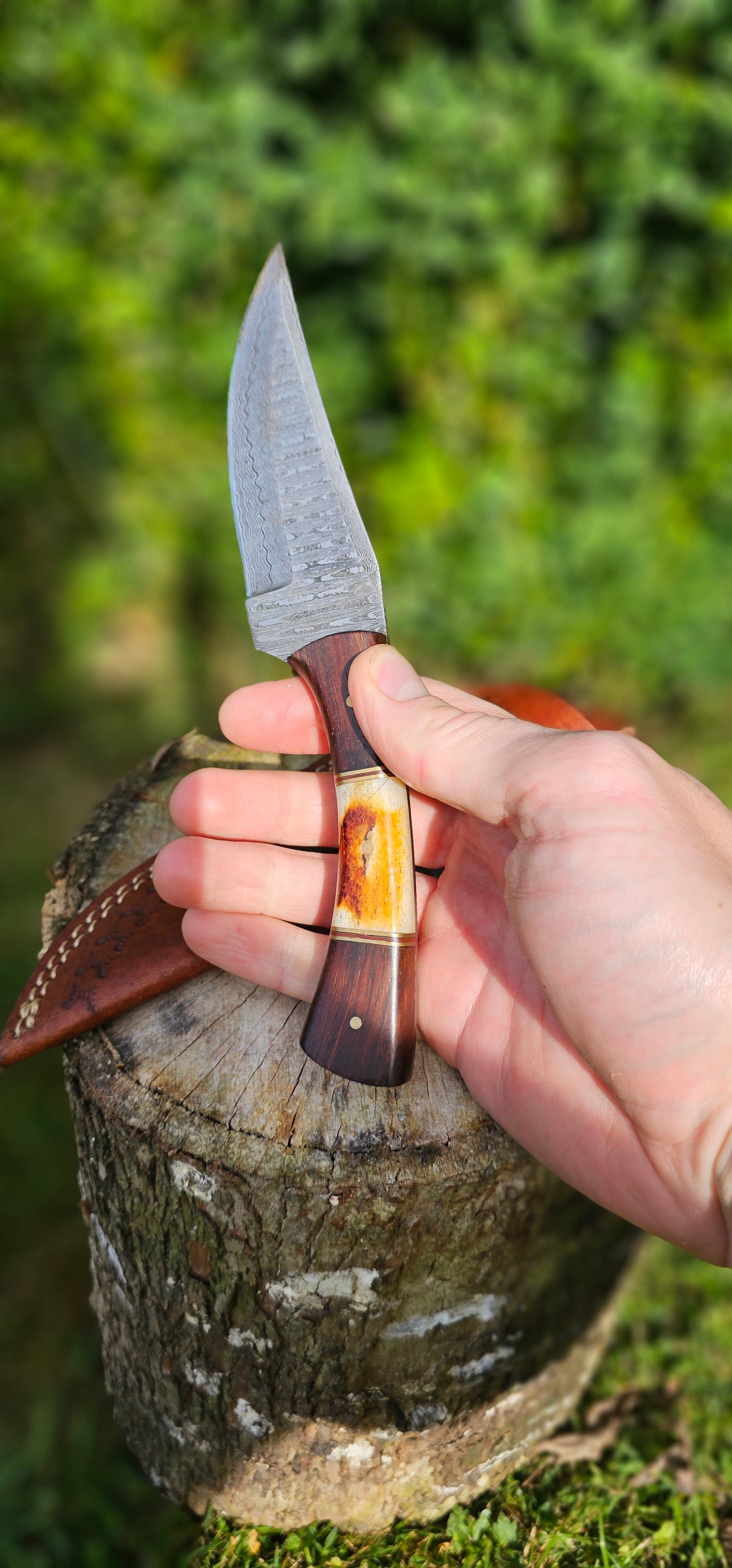 'Anubis' - Skinner Knife
