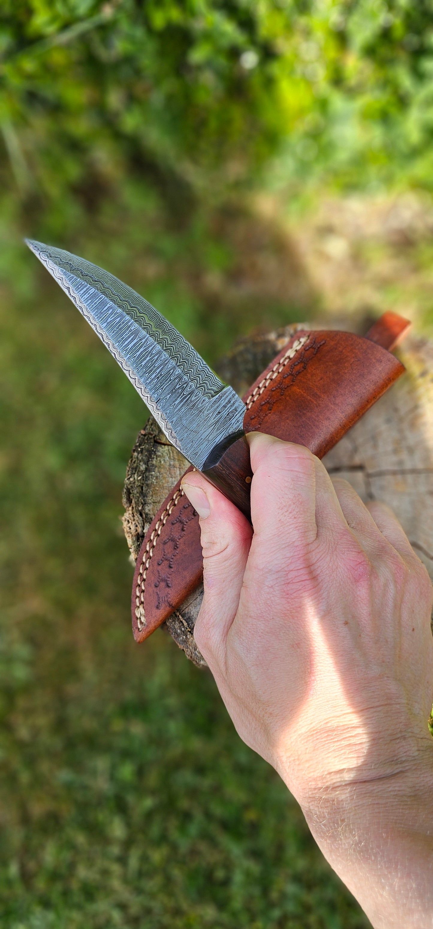 'Anubis' - Skinner Knife