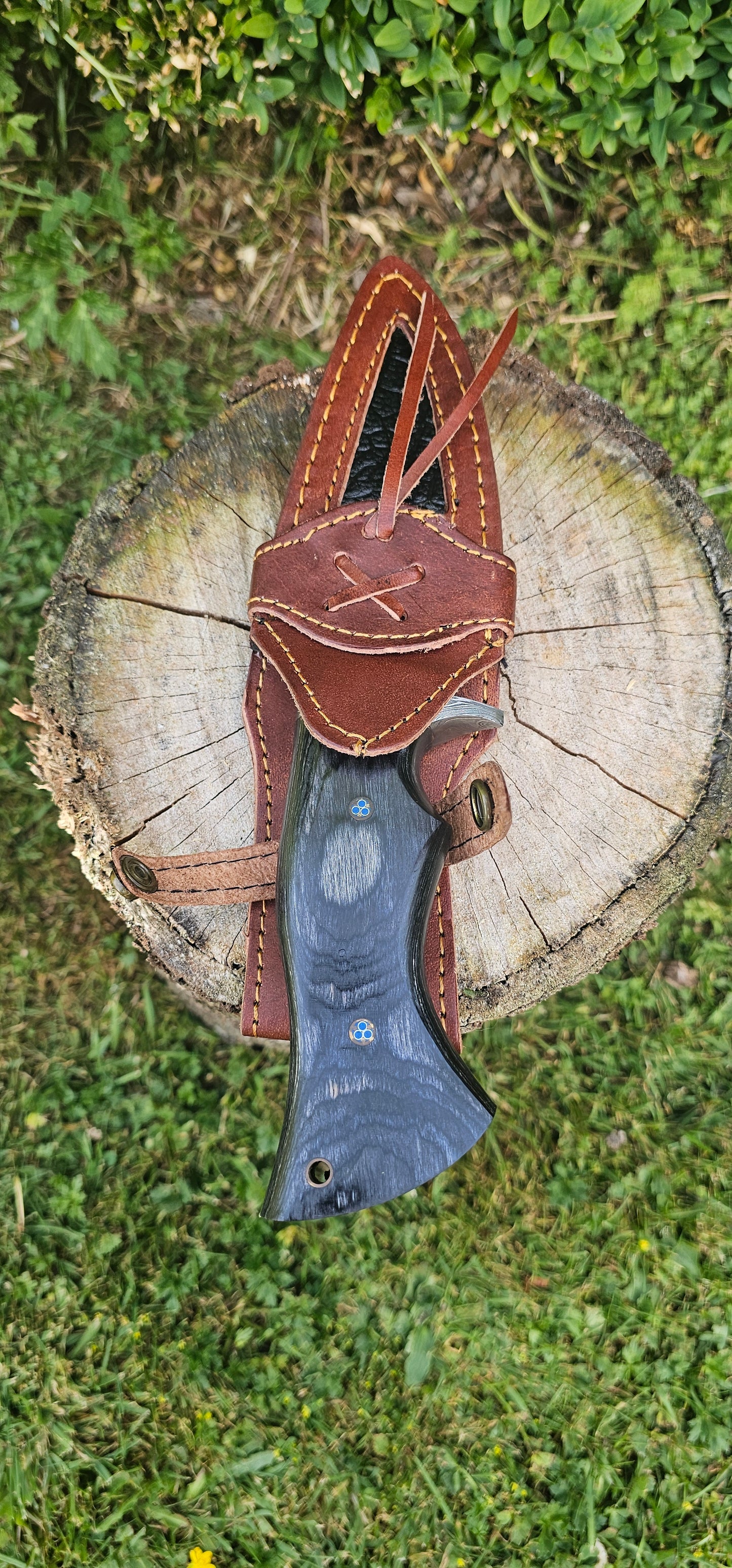 'Olympias' - Bowie Knife