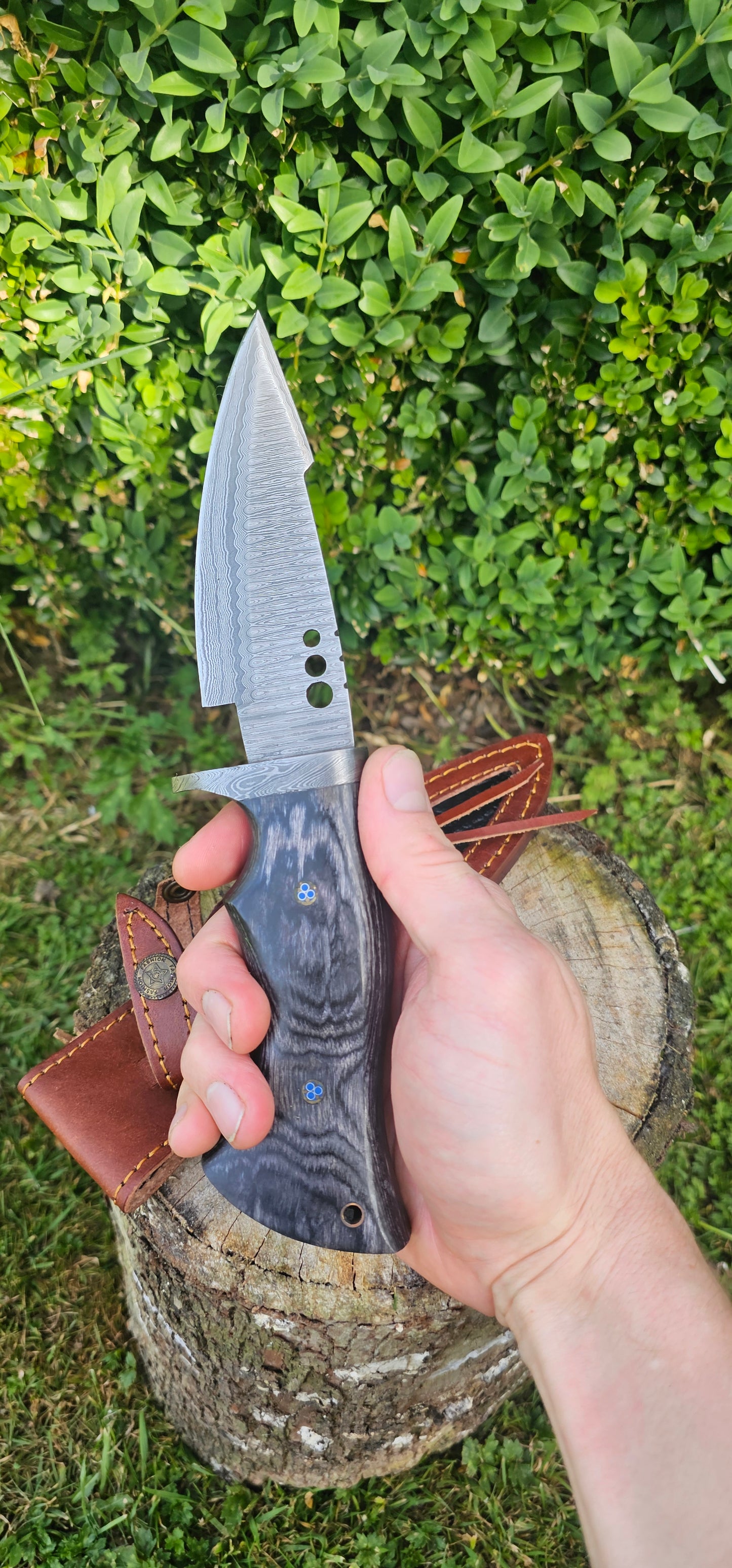 'Olympias' - Bowie Knife