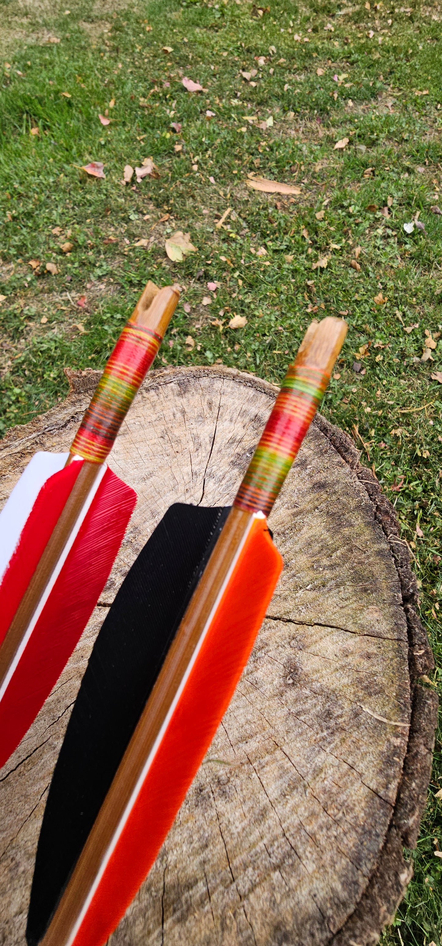 Tonkin Bamboo Arrows w/ colourful strings