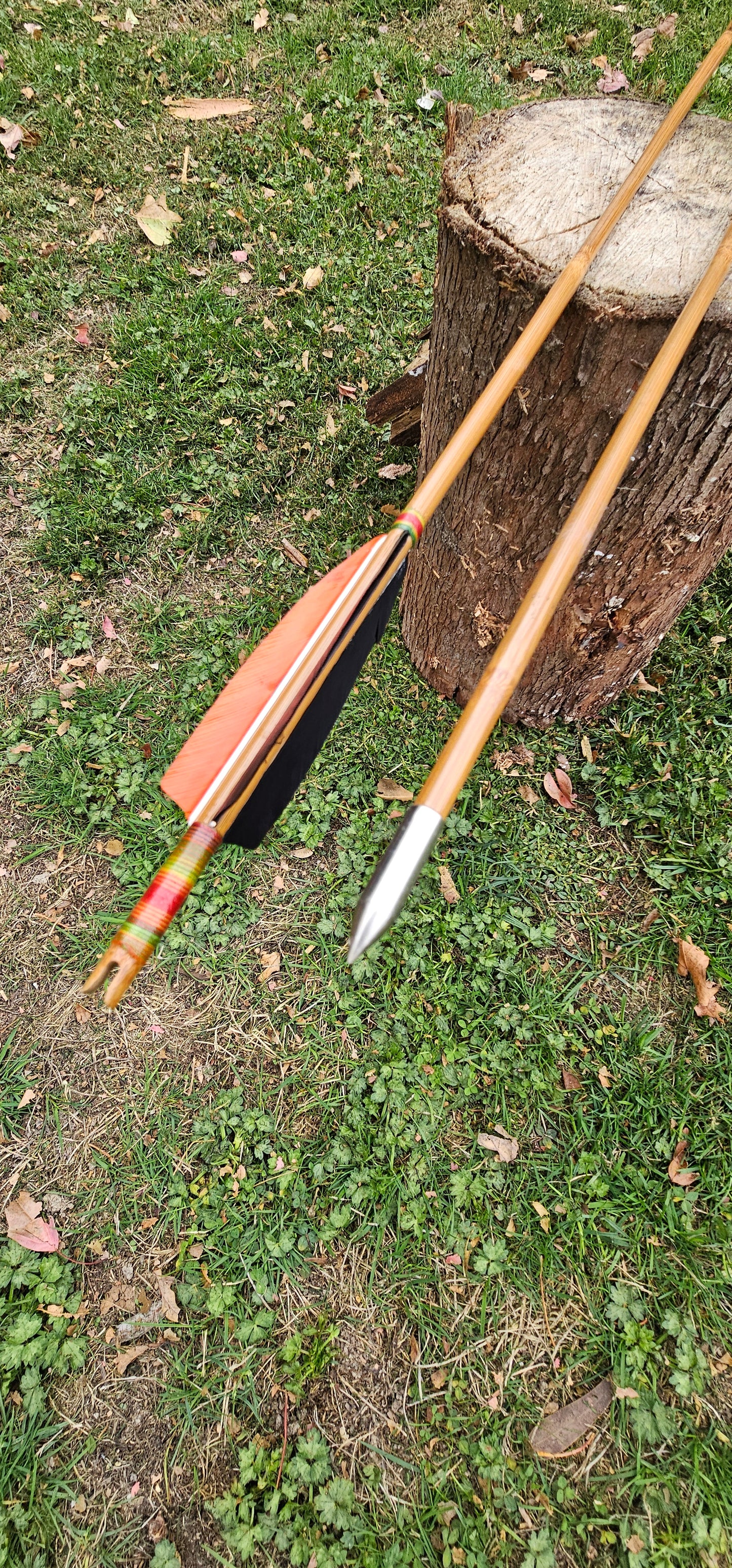 Tonkin Bamboo Arrows w/ colourful strings