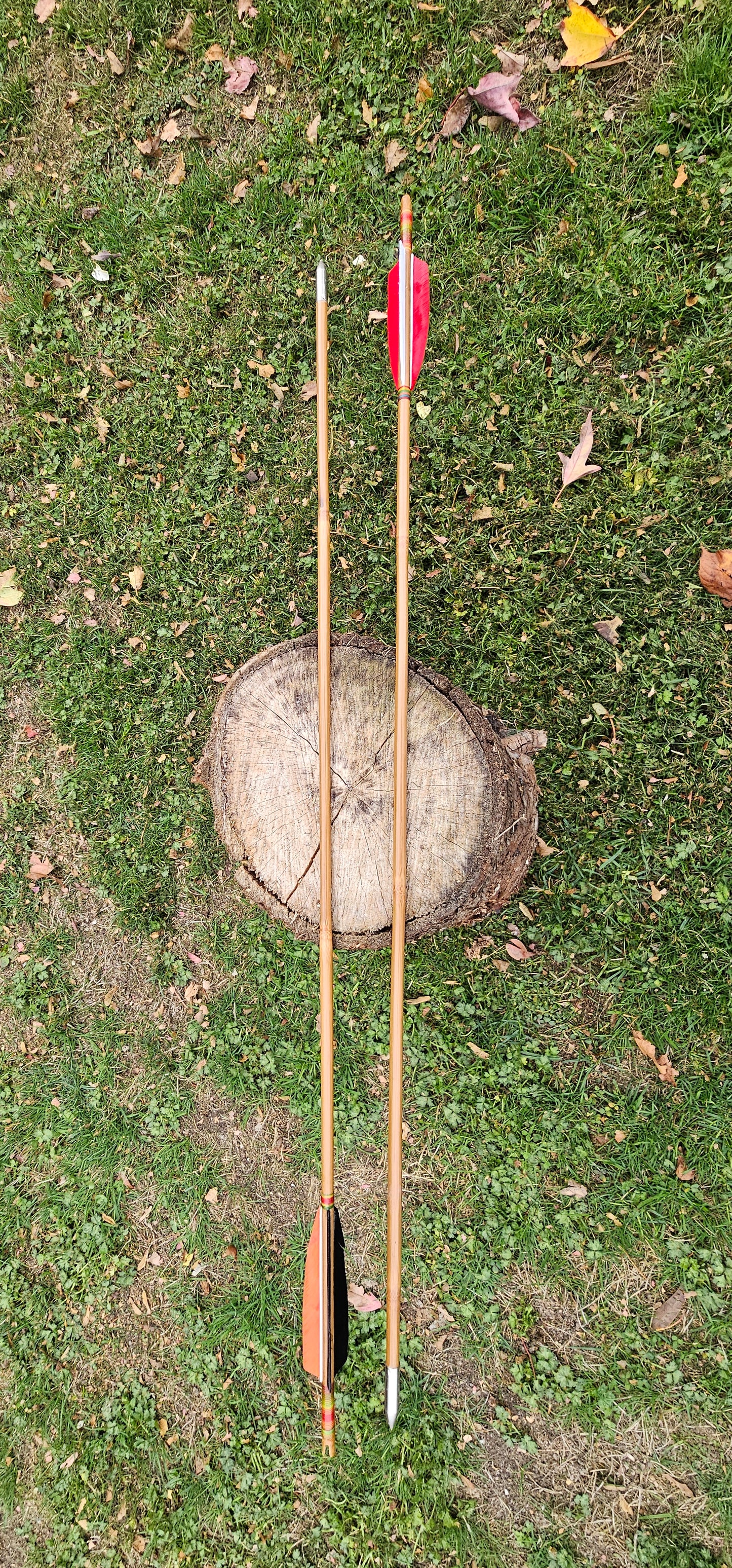 Tonkin Bamboo Arrows w/ colourful strings