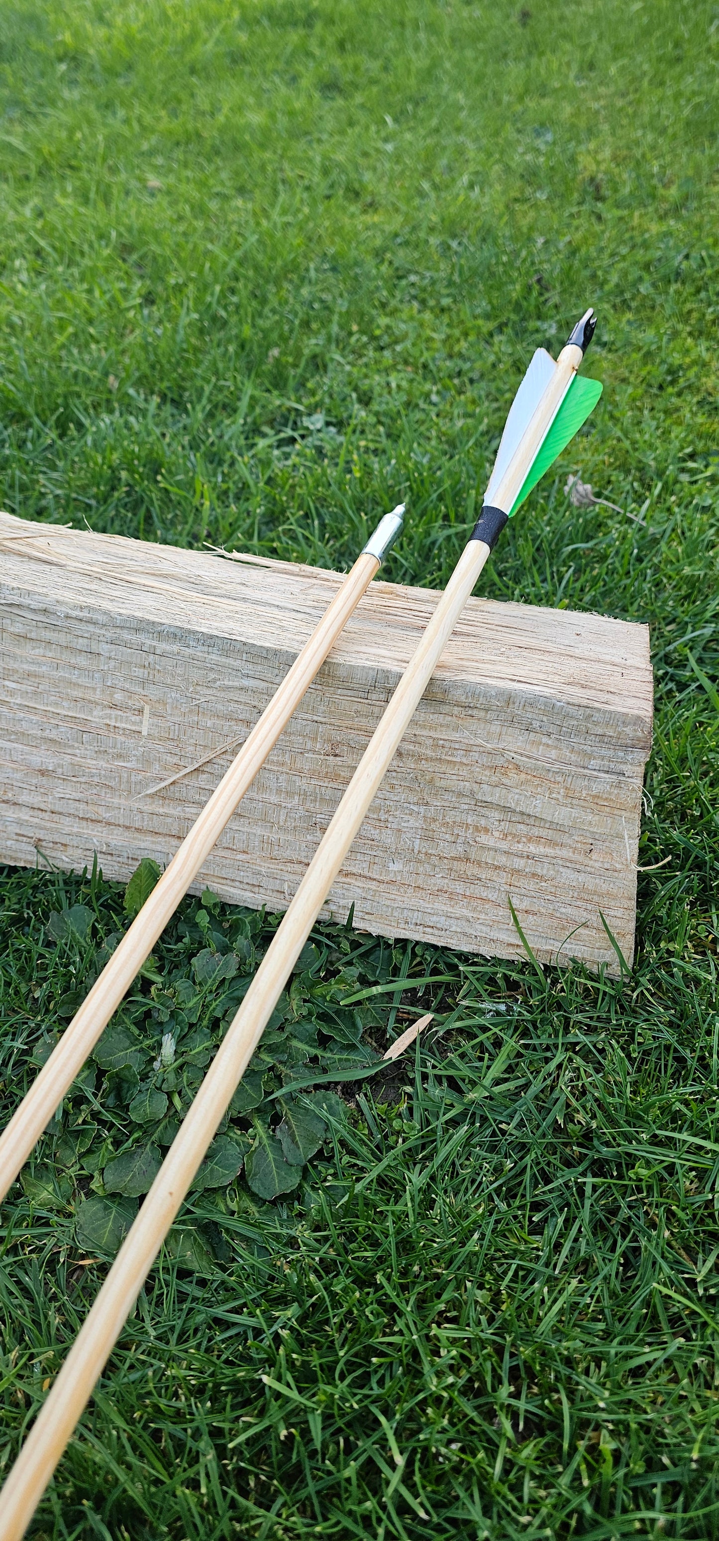 Starter Wooden Arrows - Field Points