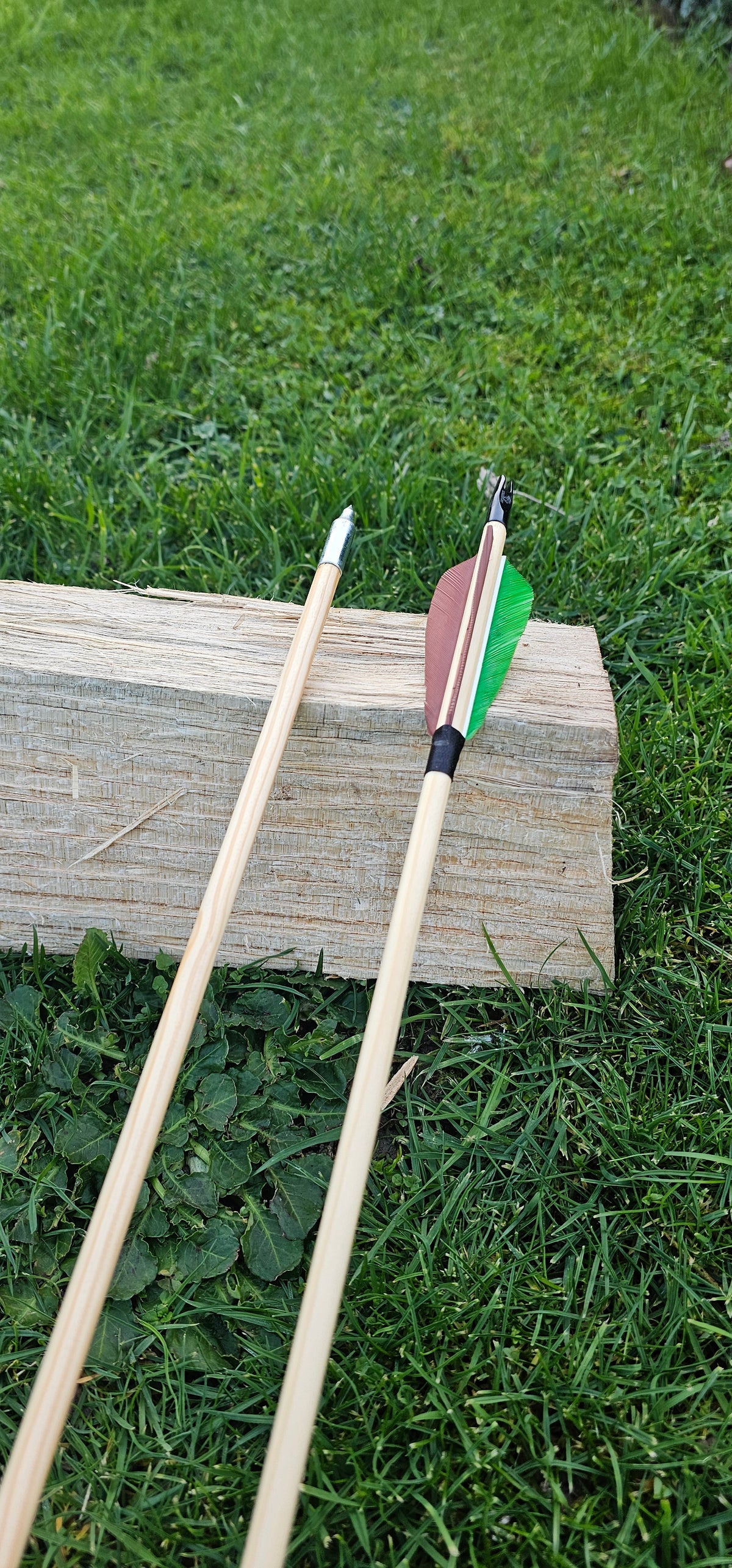 Standerd Arrows Youth Wooden Arrows - Field Points – Saxon Archery