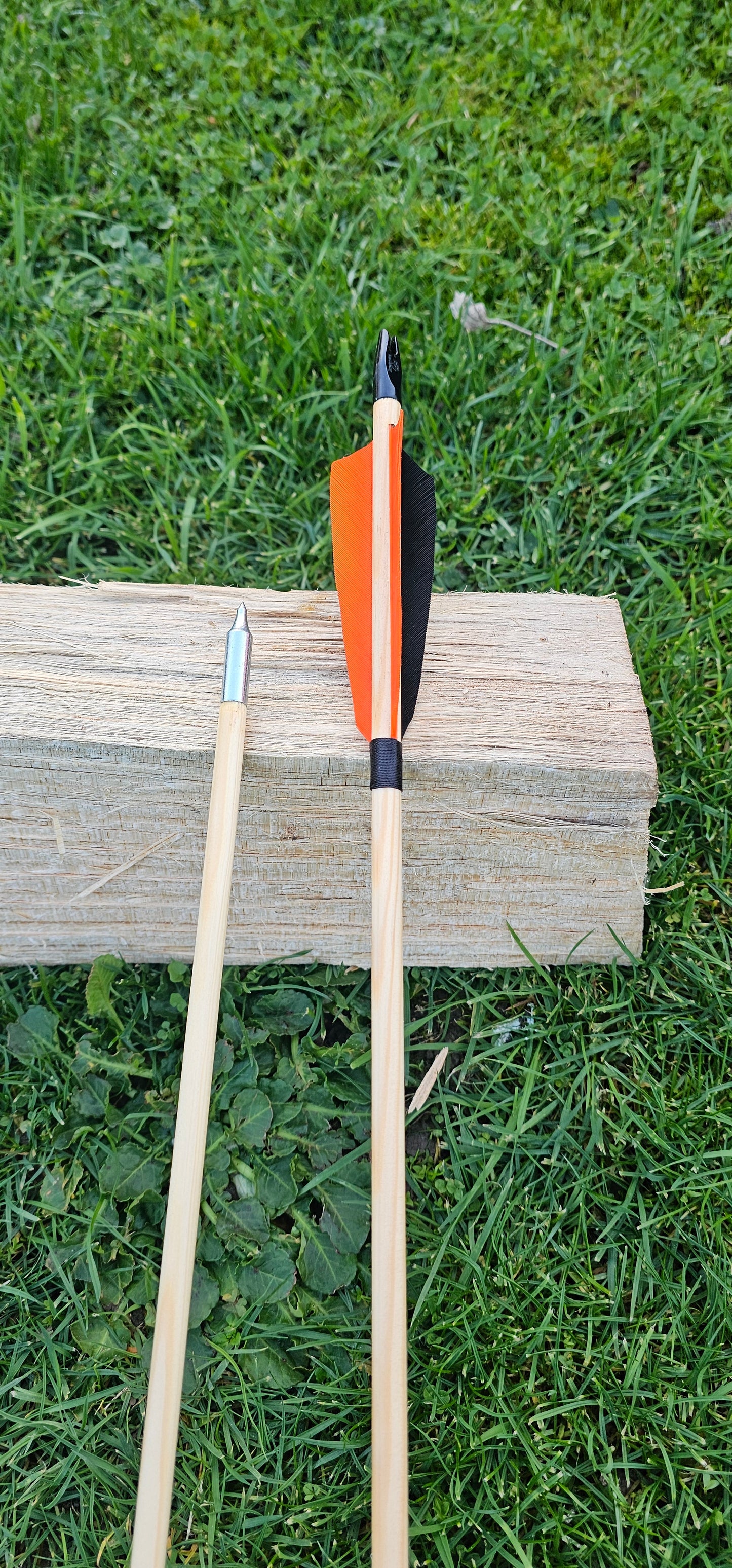 Starter Wooden Arrows - Field Points