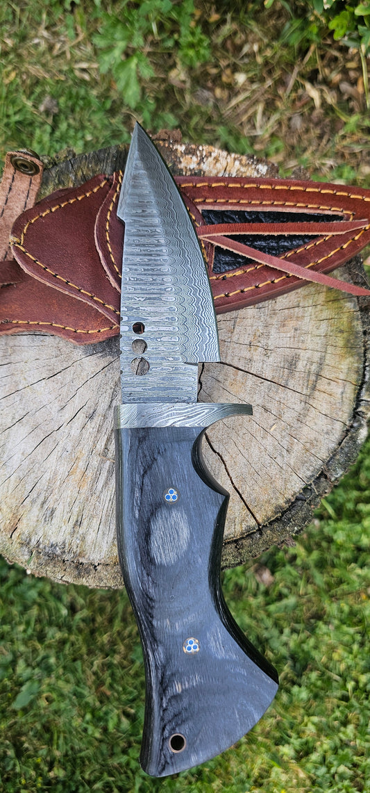 'Olympias' - Bowie Knife