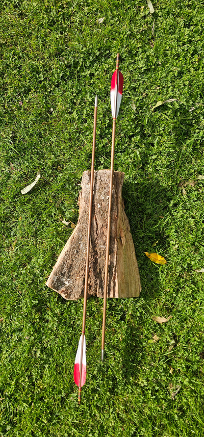 Tip dyed Parabolic arrows