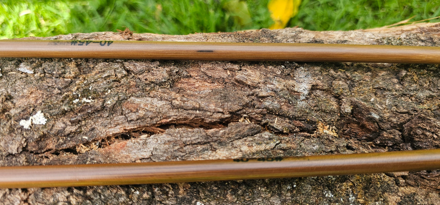 Tip dyed Parabolic arrows