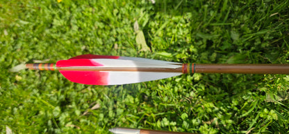 Tip dyed Parabolic arrows