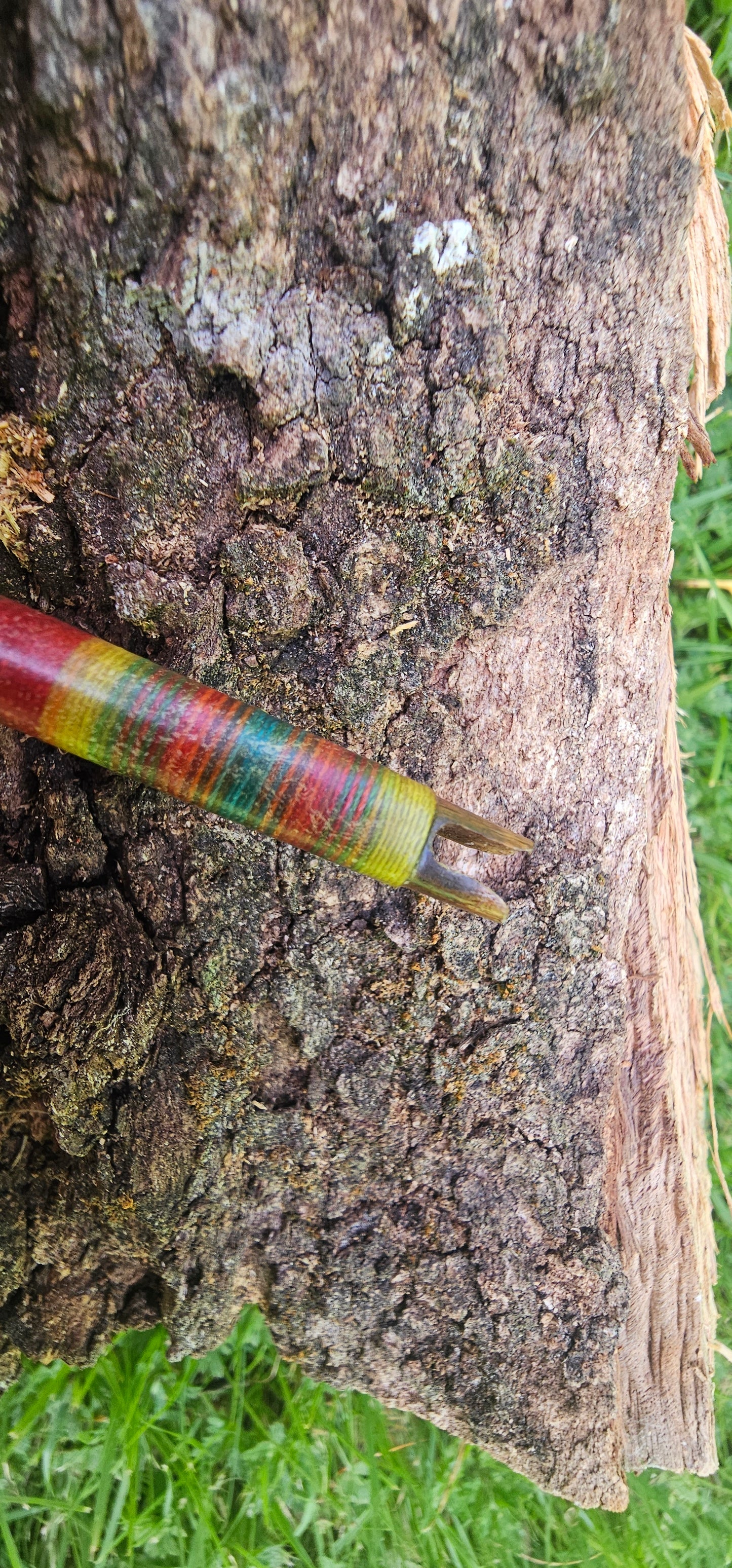 Tip dyed Parabolic arrows