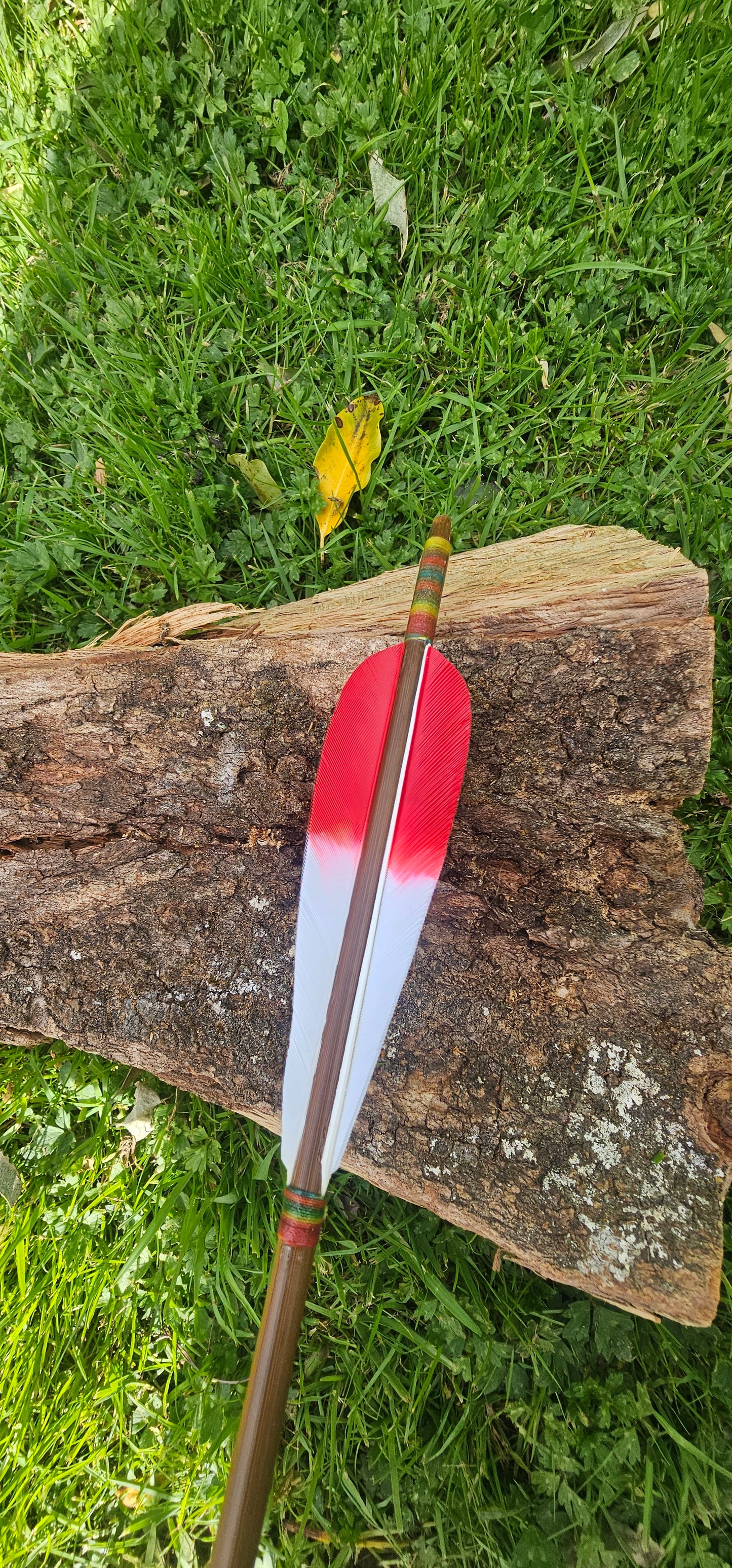 Tip dyed Parabolic arrows