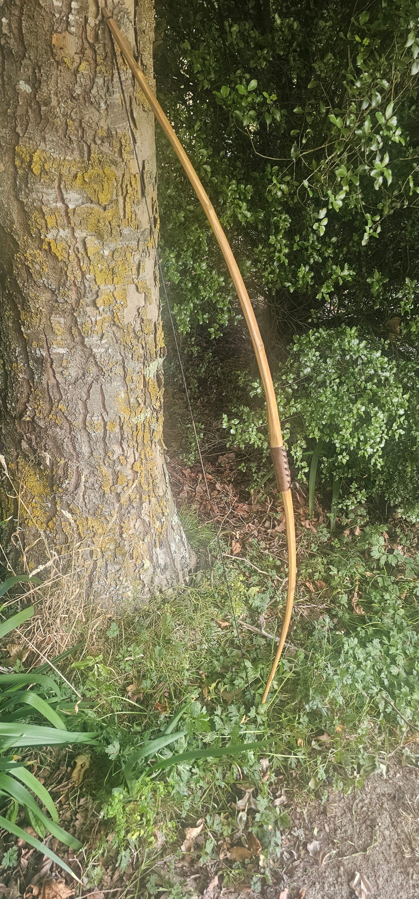 Varang longbow - Ash longbow with bamboo lamination