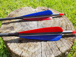 Standard Carbon Arrow - Blue/Red high vis turkey feathers