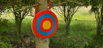 50cm Straw Archery Target (Double thicknesss)